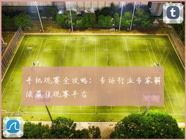 手机观赛全攻略：专访行业专家解读最佳观赛平台