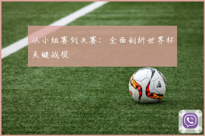 从小组赛到决赛：全面剖析世界杯关键战役