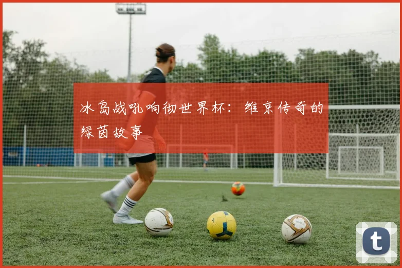 冰岛战吼响彻世界杯：维京传奇的绿茵故事
