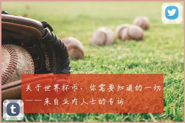 关于世界杯币,你需要知道的一切——来自业内人士的专访