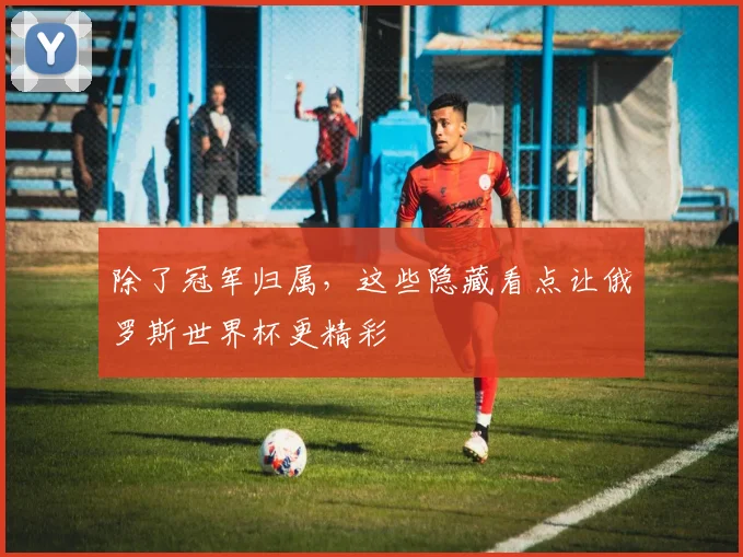 除了冠军归属,这些隐藏看点让俄罗斯世界杯更精彩