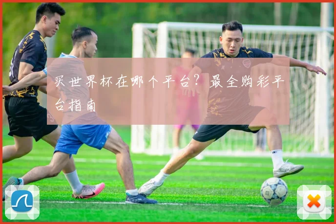 买世界杯在哪个平台?最全购彩平台指南