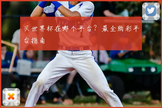 买世界杯在哪个平台?最全购彩平台指南