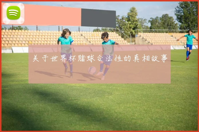 关于世界杯赌球合法性的真相故事