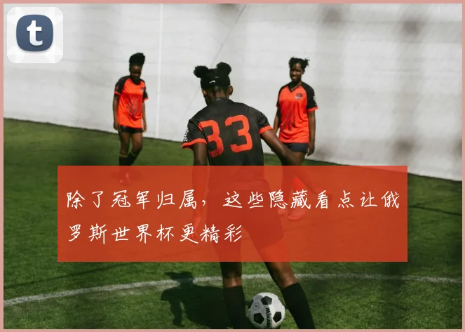 除了冠军归属,这些隐藏看点让俄罗斯世界杯更精彩