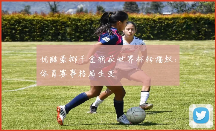 优酷豪掷千金斩获世界杯转播权,体育赛事格局生变
