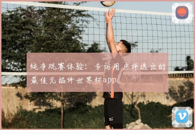 纯净观赛体验:专访用户评选出的最佳无插件世界杯app