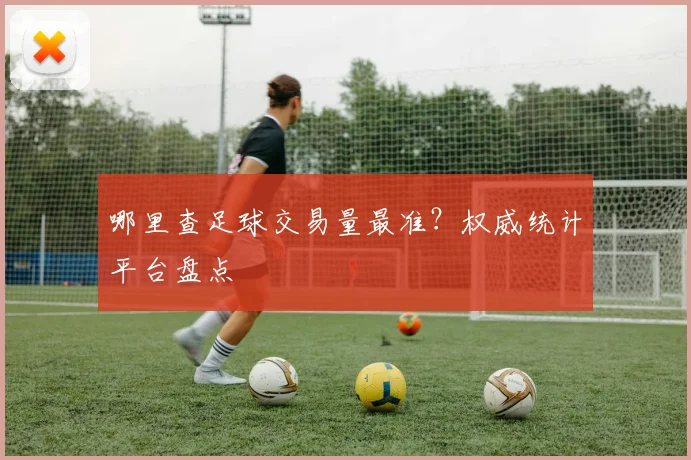 哪里查足球交易量最准？权威统计平台盘点